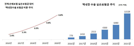보험연구원 제공
